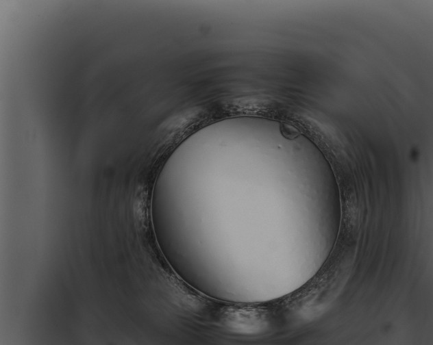 X0000097960181200804011706