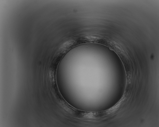 X0000097960182200804011706