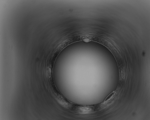 X0000097960183200804011706