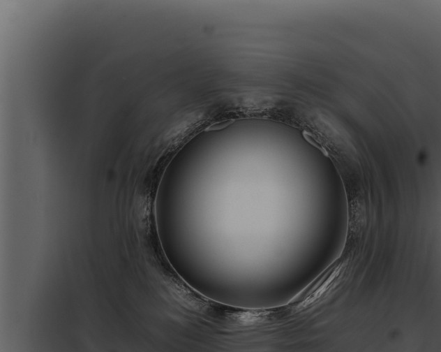 X0000097960184200804011706