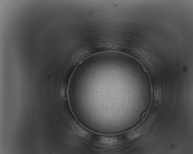 X0000097960185200804011706