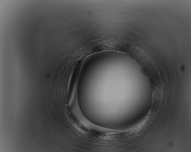 X0000097960186200804011706
