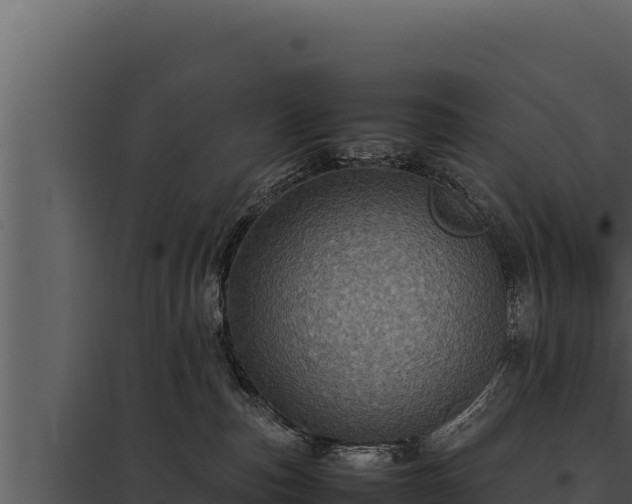 X0000097960187200804011706