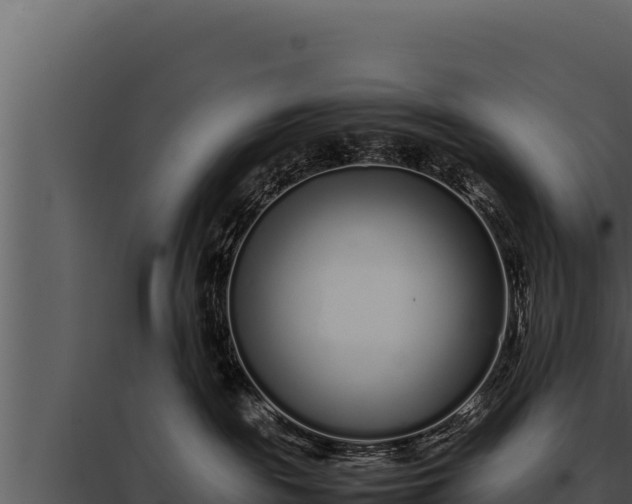 X0000097960189200804011706