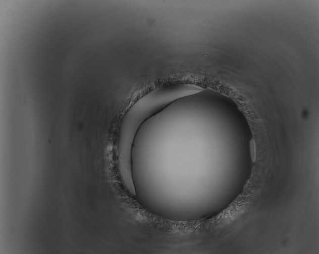 X0000097960192200804011706