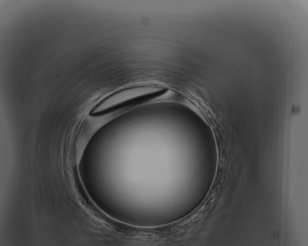 X0000097960193200804011705