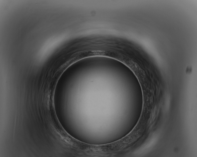 X0000097960194200804011705