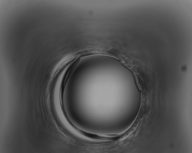 X0000097960197200804011705