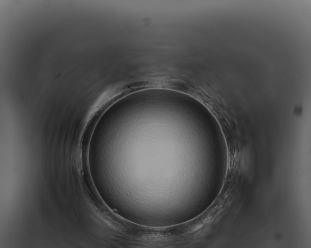 X0000097960198200804011705