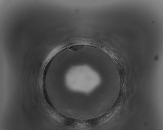 X0000097960199200804011705