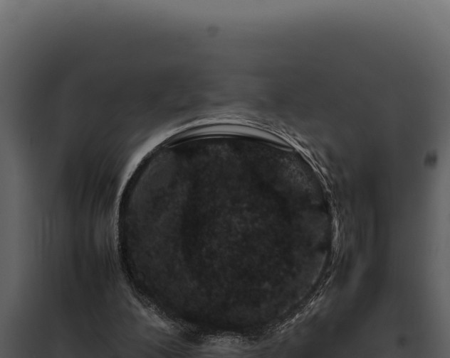 X0000097960200200804011705