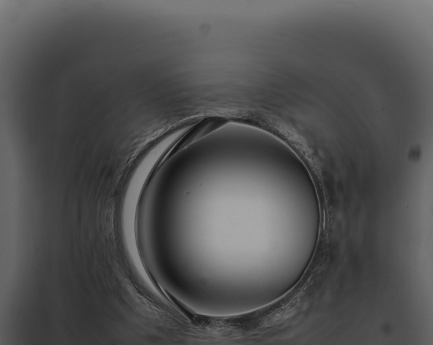 X0000097960201200804011705