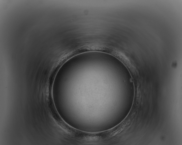 X0000097960202200804011705
