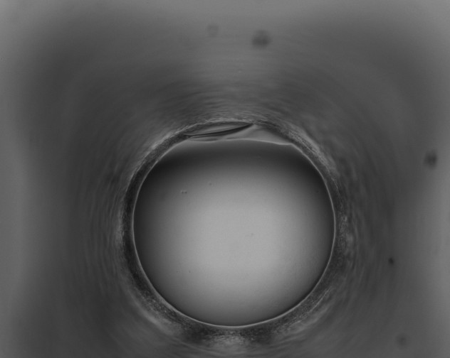 X0000097960203200804011705