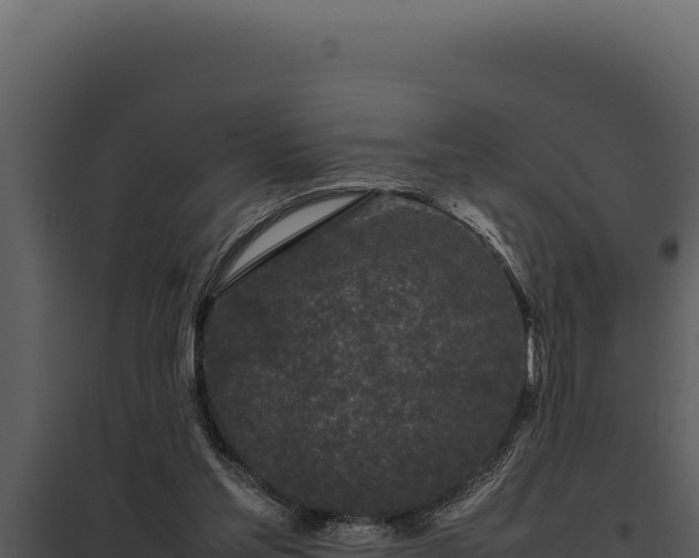 X0000097960205200804011705