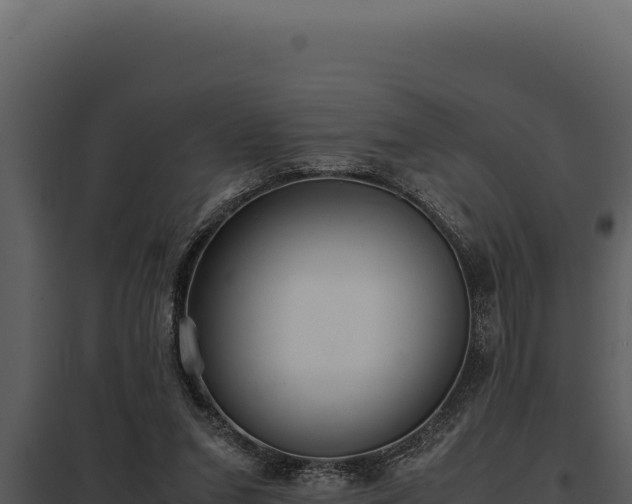 X0000097960207200804011705