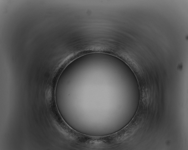 X0000097960208200804011705