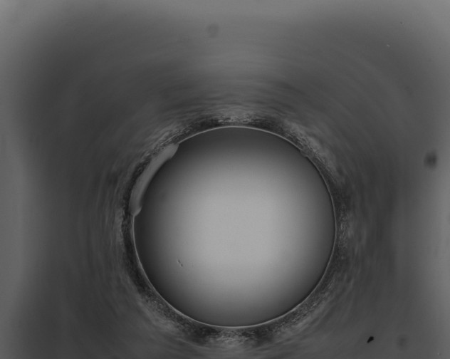 X0000097960209200804011705