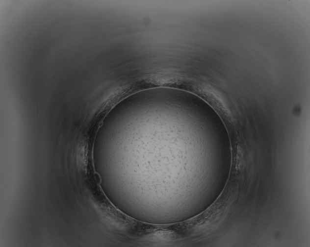 X0000097960210200804011705