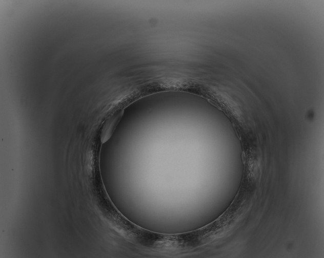 X0000097960211200804011705