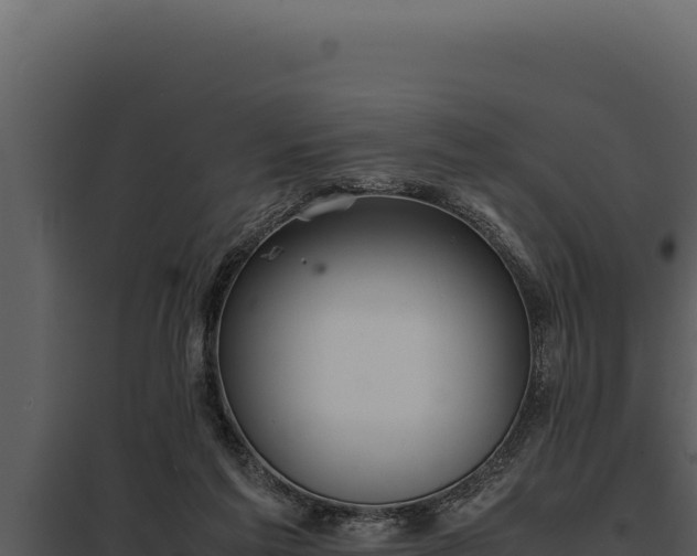 X0000097960213200804011705