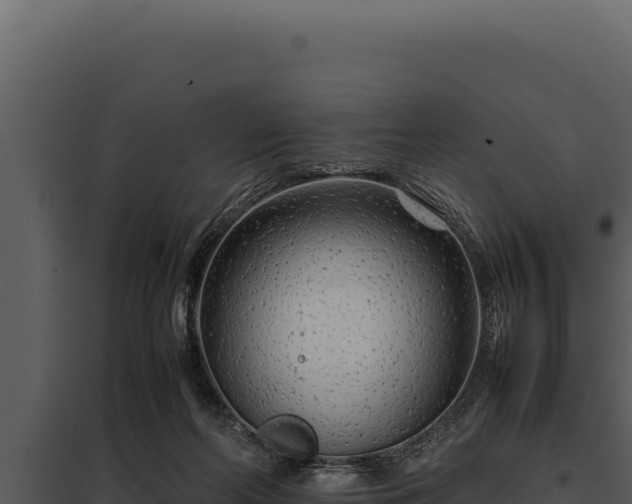 X0000097960214200804011705