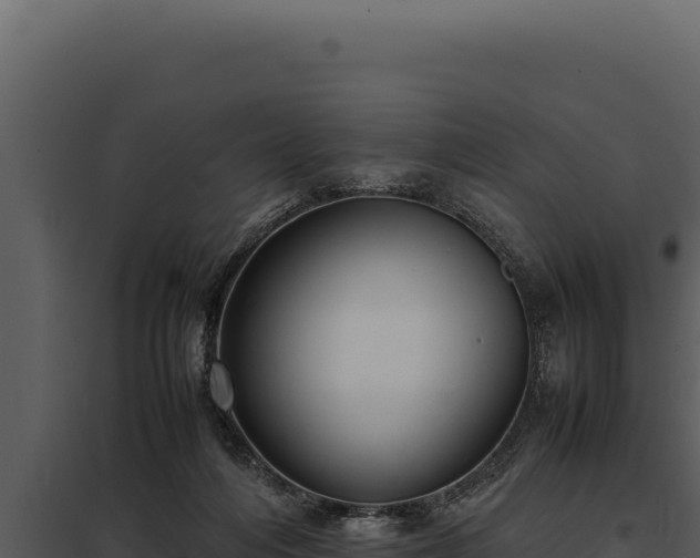 X0000097960216200804011705