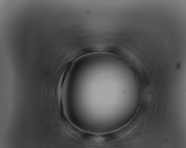 X0000097960217200804011705