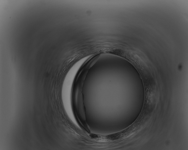 X0000097960219200804011705