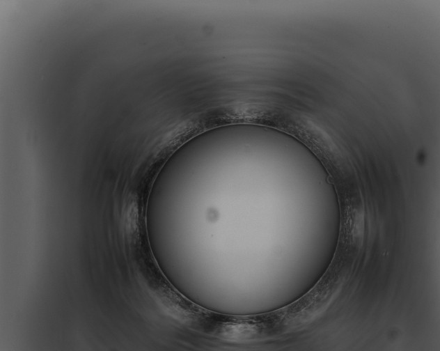X0000097960220200804011705