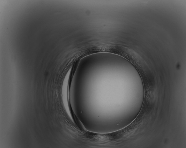 X0000097960221200804011705