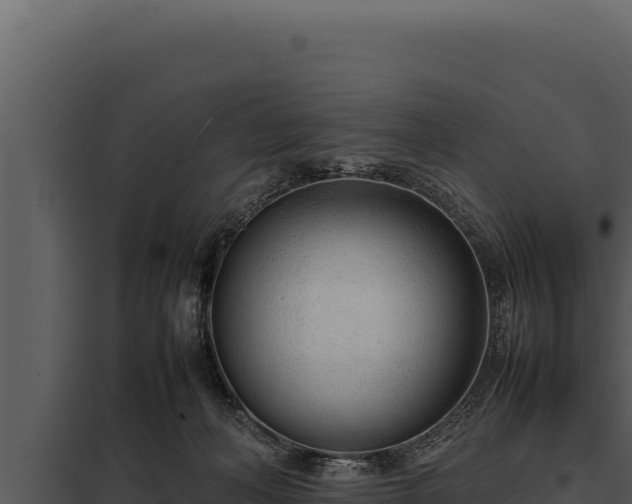 X0000097960222200804011705