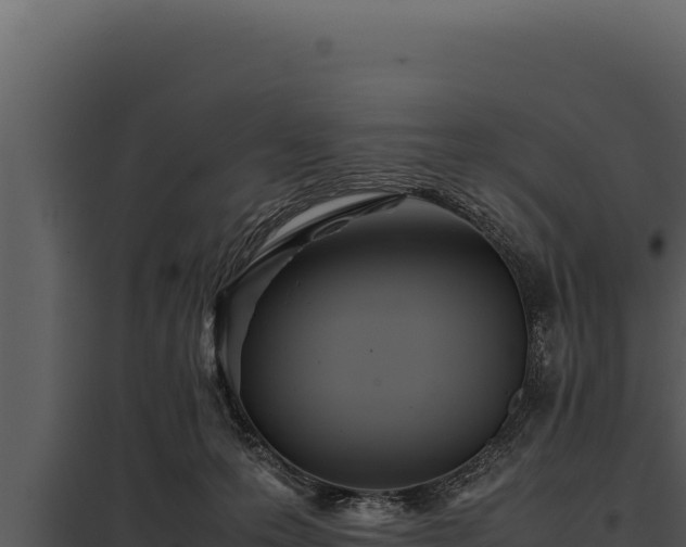 X0000097960223200804011705