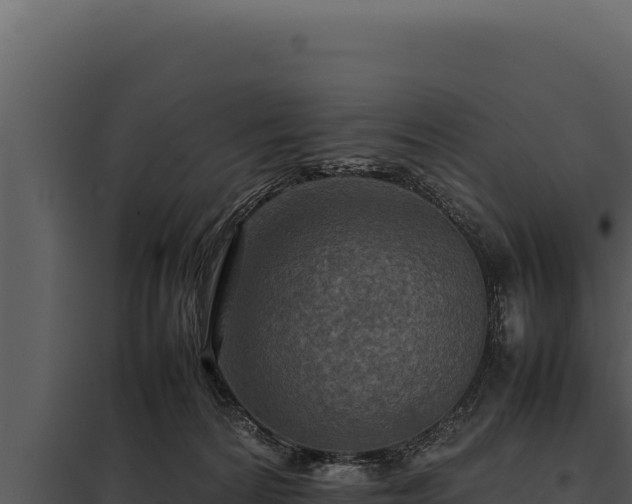 X0000097960224200804011705