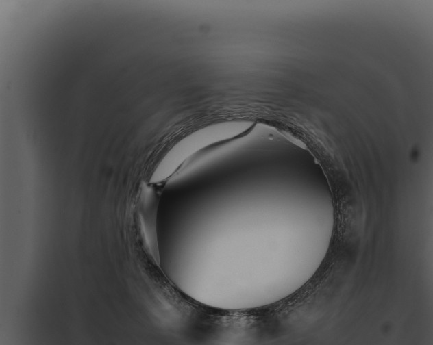 X0000097960225200804011705