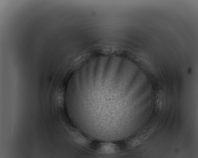 X0000097960226200804011705