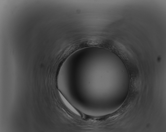 X0000097960227200804011705