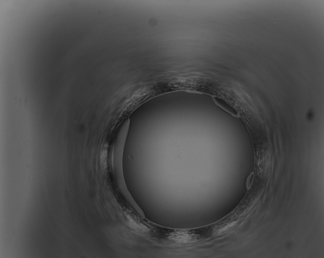 X0000097960231200804011705