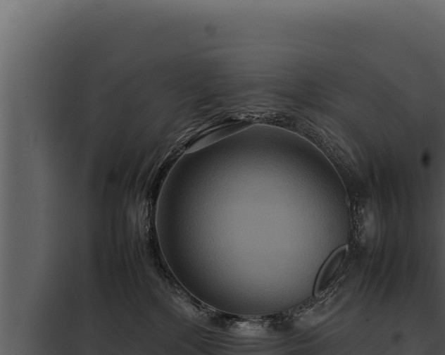 X0000097960232200804011705