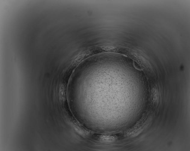 X0000097960234200804011705