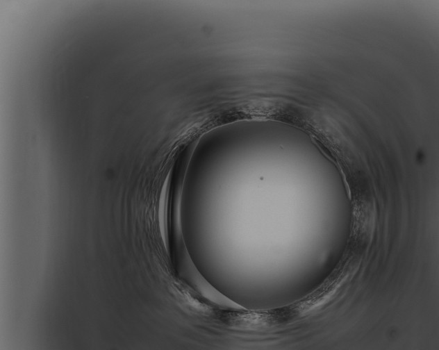 X0000097960237200804011705
