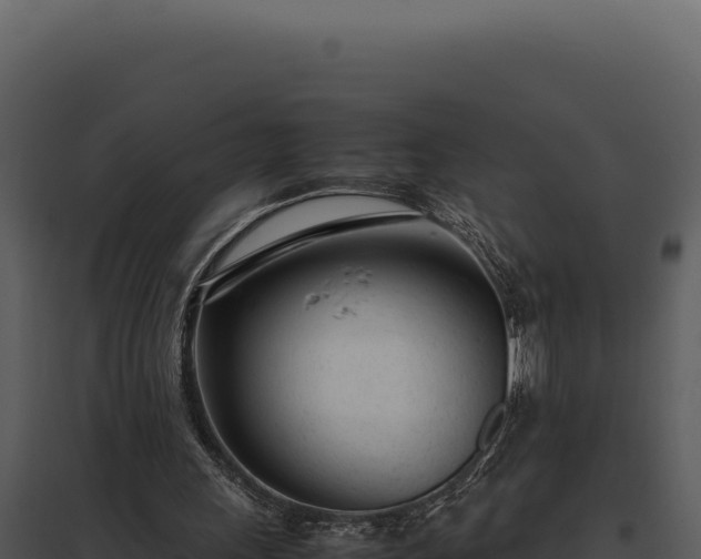 X0000097960243200804011704