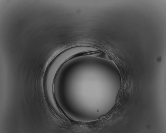 X0000097960244200804011704