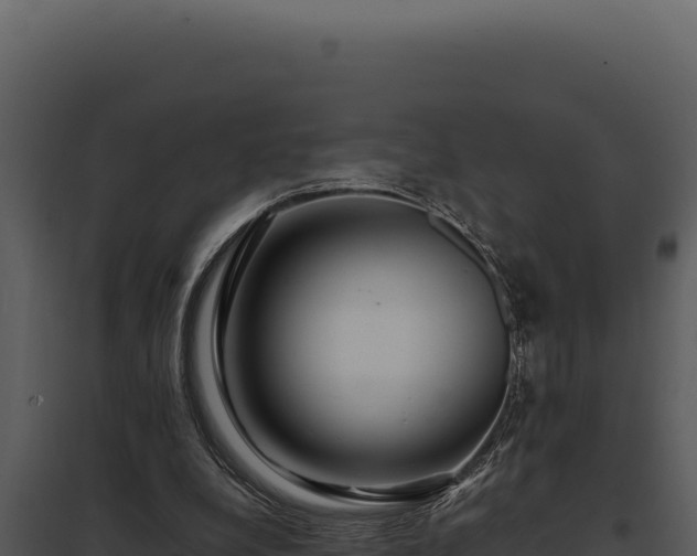 X0000097960248200804011704