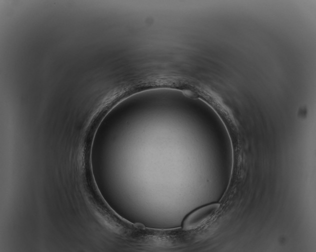X0000097960250200804011704