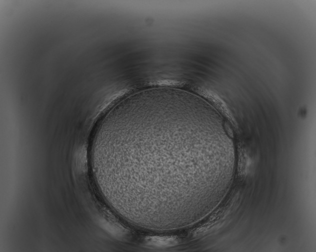 X0000097960251200804011704