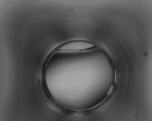 X0000097960252200804011704