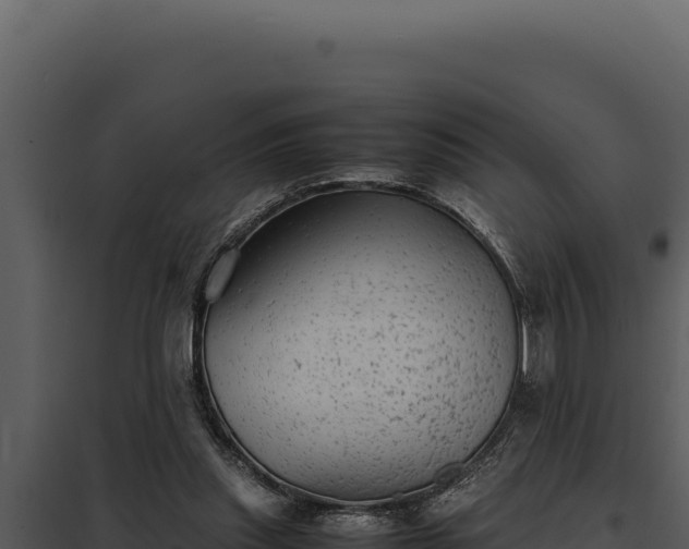 X0000097960253200804011704