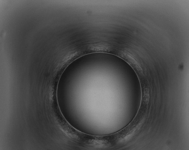 X0000097960255200804011704