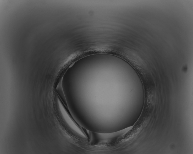 X0000097960256200804011704